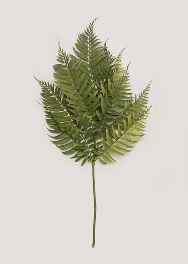 Green Fern Single Stem (70cm)