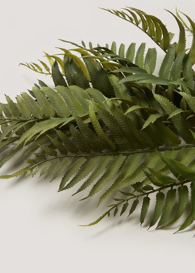 Green Fern Single Stem (70cm)