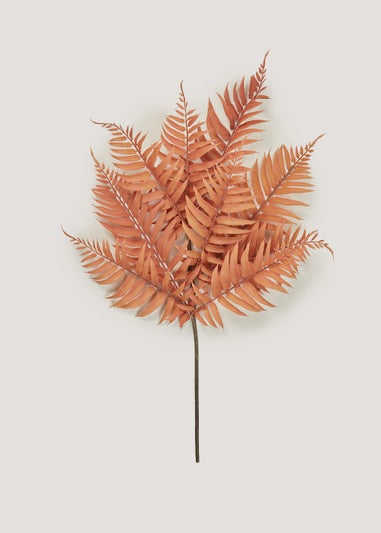 Orange Fern Single Stem (70cm)