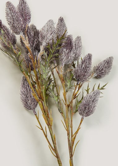 Heather Thistle Single Stem (70cm)