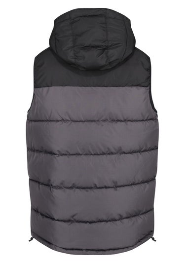 Regatta Nevado Grey Gilet