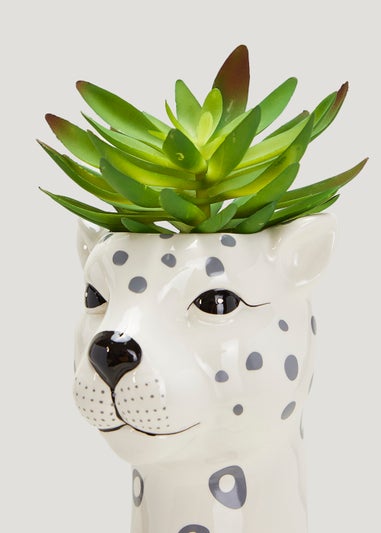 Succulent in Tall Leopard Plant Pot (55cm x 15cm)