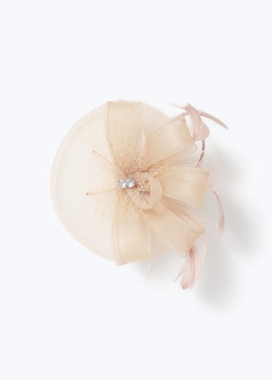 Pastel Pink Net Fascinator Clip