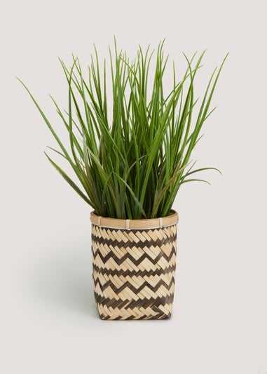 Grass in Natural Woven Basket (50cm x 13cm)