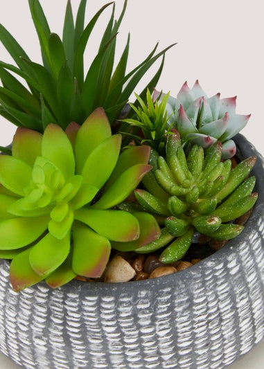 Succulents in Bowl (30cm)