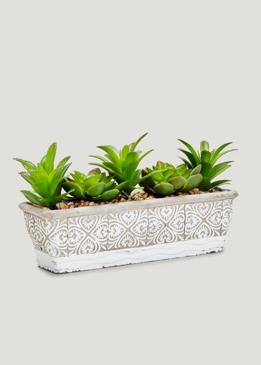 Rectangular Garden Succulent (40cm)