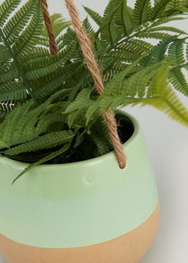 Hanging Fern in Ceramic Pot (40cm)