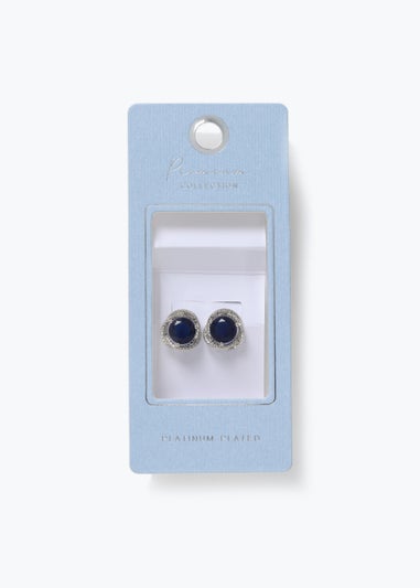 Silver & Blue Loop Earrings