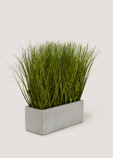 Grass in Cement Pot (46.5cm x 26.5cm x 35cm)