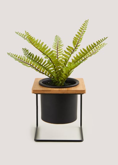 Fern Plant in Pot Stand (15cm x 15cm x 35cm)