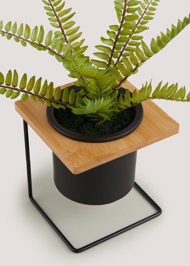 Fern Plant in Pot Stand (15cm x 15cm x 35cm)