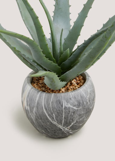 Aloe Succulent in Marble Effect Pot (34cm x 25cm x 23cm)