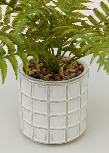 Fern White Checked Pot (28cm)