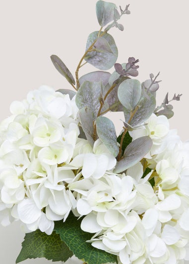 Cream Hydrangea in Glass Vase (35cm x 7cm)