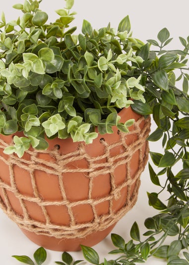 Terracotta Outdoor Planter (21cm x 17cm x 17cm)