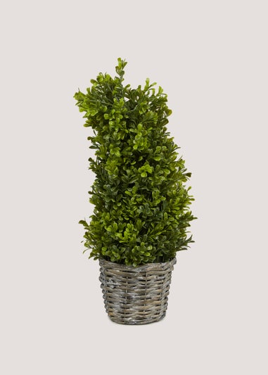 Humble Mini Cone Topiary (19cm x 19cm x 45cm)