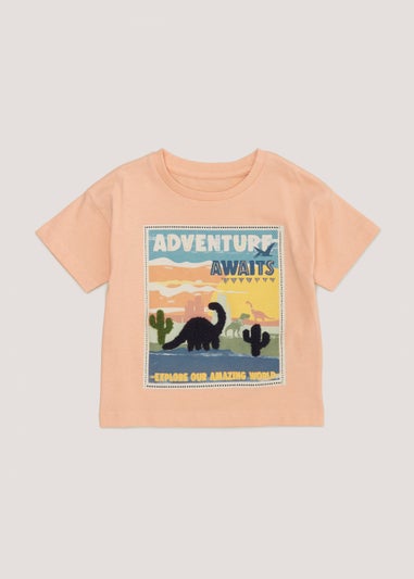 Boys Coral Dinosaur T-Shirt (9mths-6yrs)