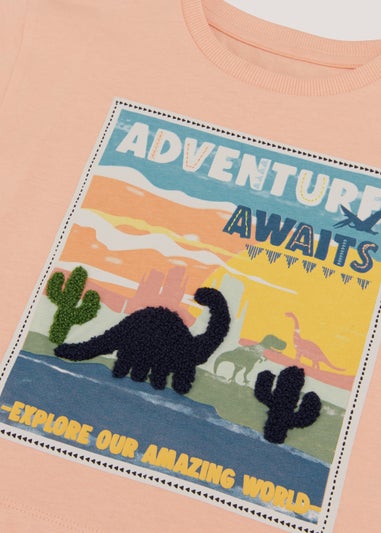 Boys Coral Dinosaur T-Shirt (9mths-6yrs)