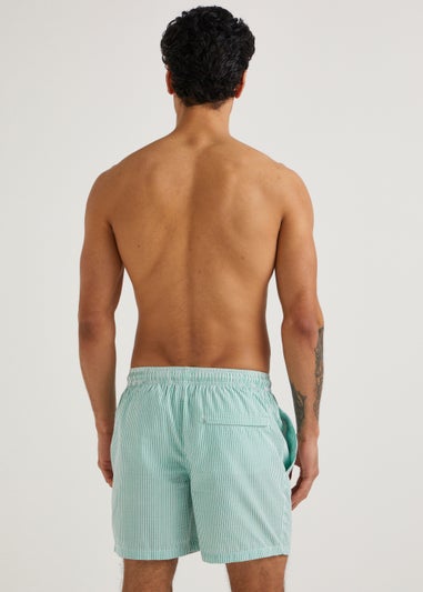 Green Stripe Essential Swim Shorts