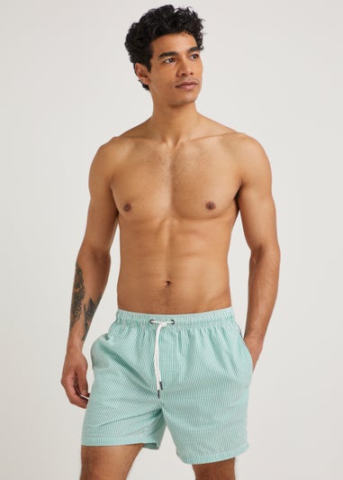 Green Stripe Essential Swim Shorts