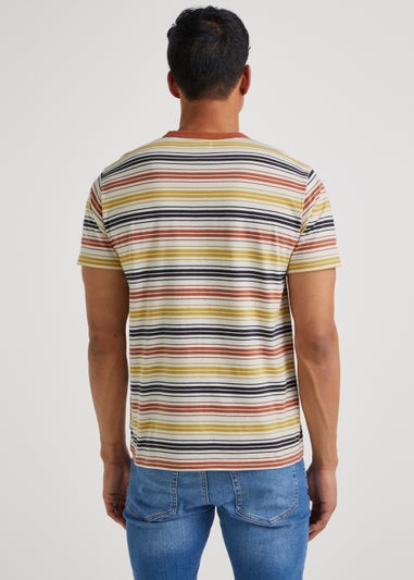 Multicoloured Stripe Ringer T-Shirt