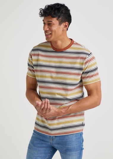 Multicoloured Stripe Ringer T-Shirt