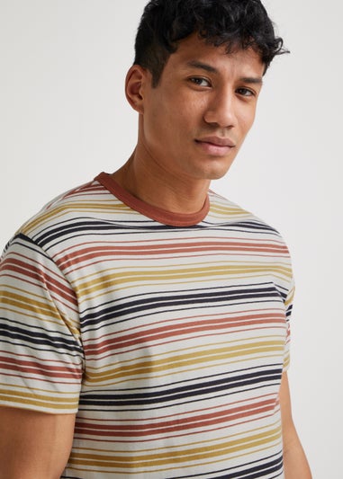 Multicoloured Stripe Ringer T-Shirt