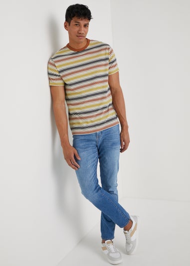 Multicoloured Stripe Ringer T-Shirt