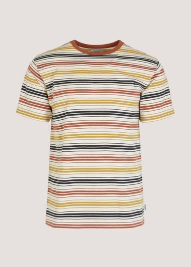 Multicoloured Stripe Ringer T-Shirt