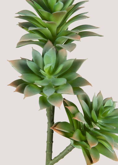 Green Succulent Stem (66cm)