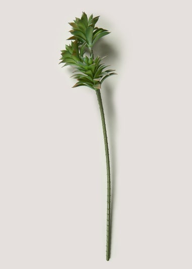 Green Succulent Stem (66cm)