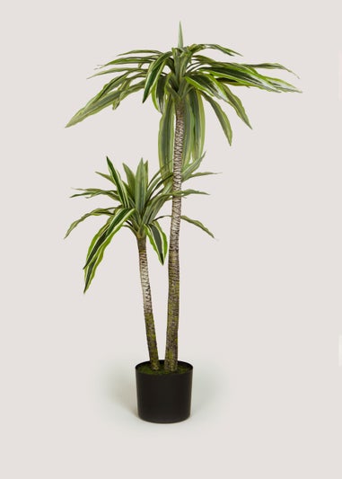 Dracaena Tree in Pot (115cm)