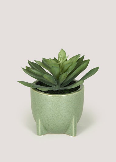 Succulent in Green Pot (20cm)