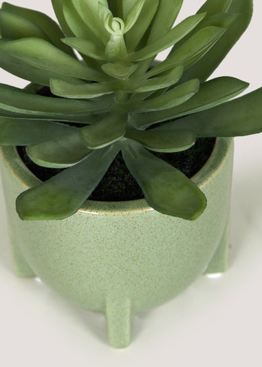 Succulent in Green Pot (20cm)