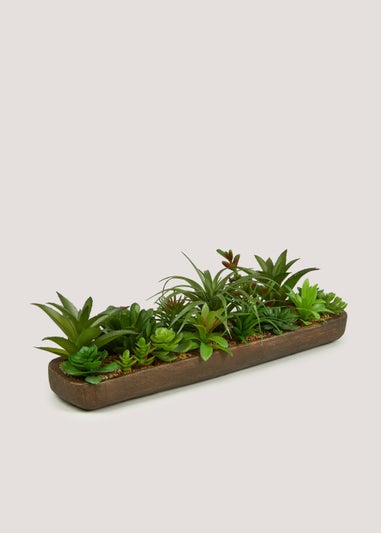 Succulents in Wood Effect Tray (55cm x 5cm x 7cm)