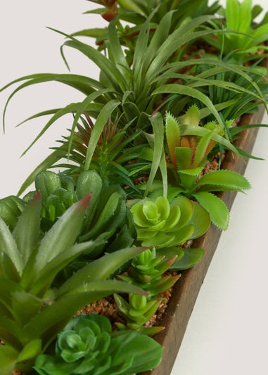 Succulents in Wood Effect Tray (55cm x 5cm x 7cm)