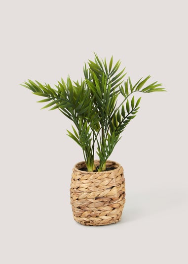 Palm Leaves in Woven Pot (42cm x 13.5cm)