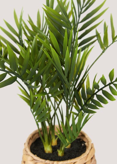 Palm Leaves in Woven Pot (42cm x 13.5cm)
