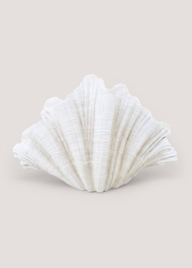 White Clam Shell Ornament (30cm x 30cm)