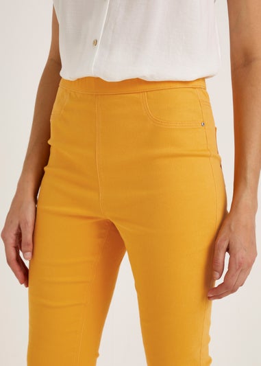 Rosie Orange Cropped Pull On Jeggings