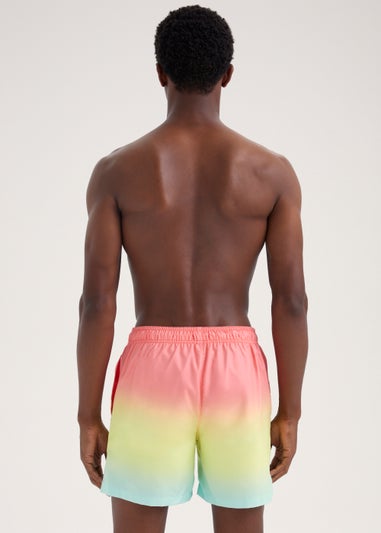 Ombre Swim Shorts