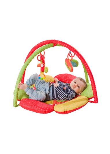 Red Kite Safari Play Gym (50cm x 78cm x 78cm)