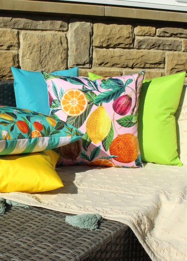 Evans Lichfield Citrus Outdoor Filled Cushion (43cm x 43cm x 8cm)