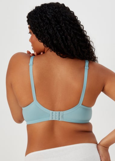 2 Pack DD+ Embroidered Bras