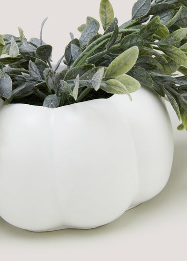 Trailing Plant in White Pumpkin Pot (15cm x 8.5cm)