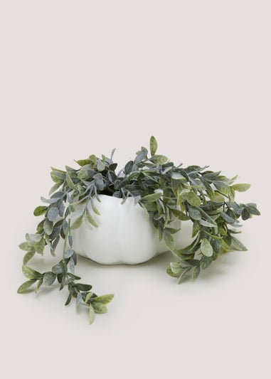 Trailing Plant in White Pumpkin Pot (15cm x 8.5cm)