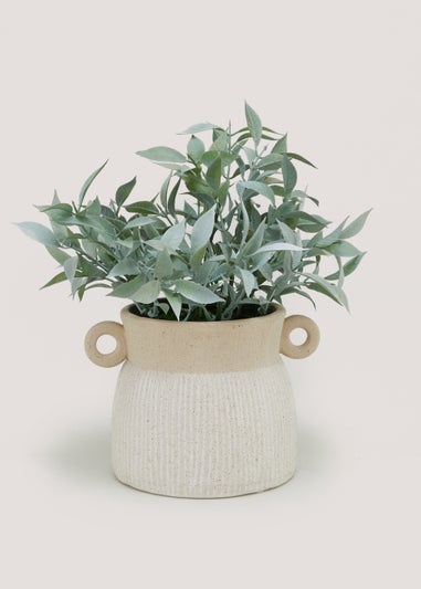 Leaf Plant in Ribbed Handle Pot