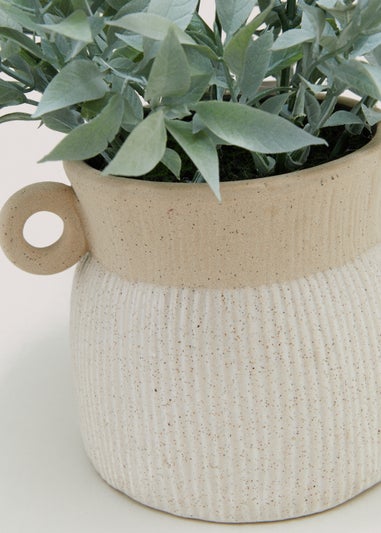 Leaf Plant in Ribbed Handle Pot