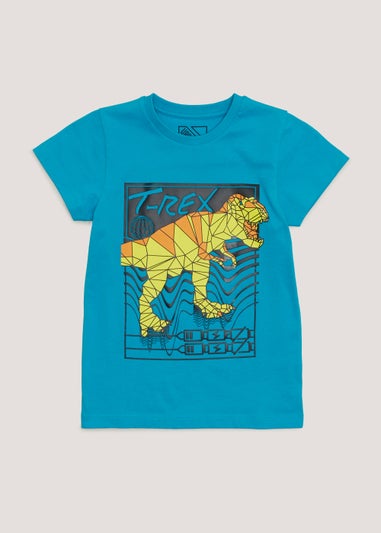 Boys Teal Dinosaur Print T-Shirt (4-13yrs)