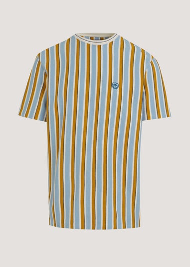 Brown Stripe Textured T-Shirt